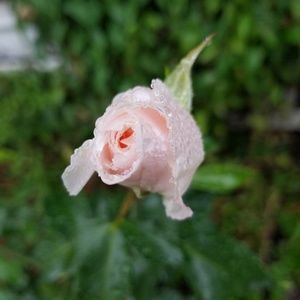 Meet your Posher, Katherine